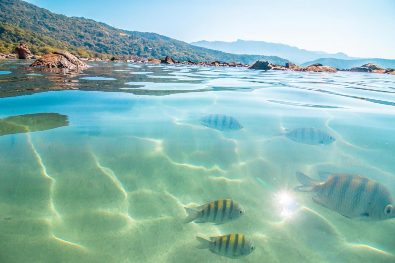 Hotel Bem Te VI Ubatuba Ngoại thất bức ảnh